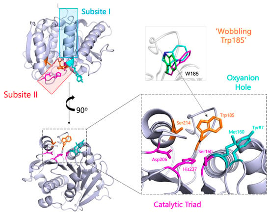 Biomolecules 13 01407 g003