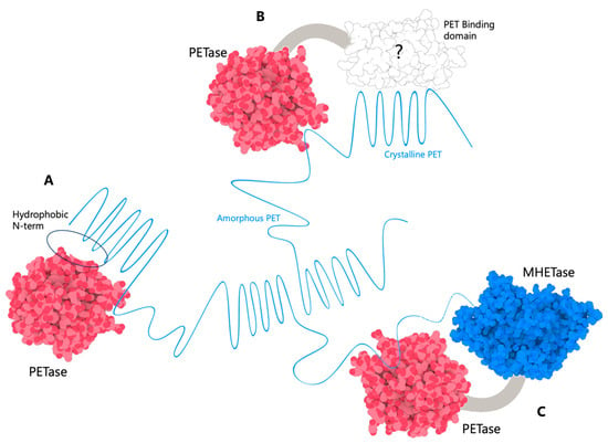 Biomolecules 13 01407 g004