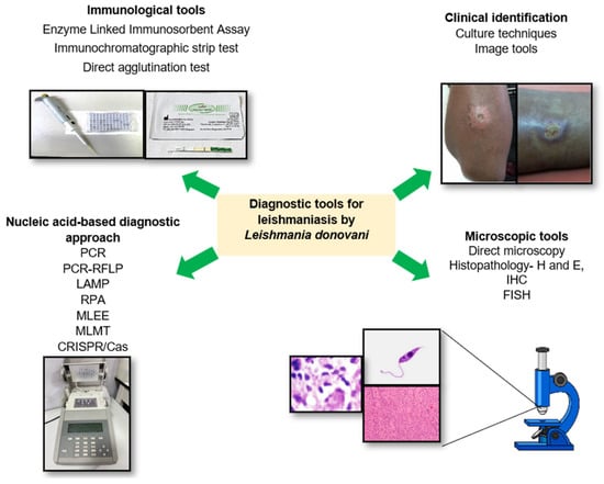 Diagnostics 13 02989 g001