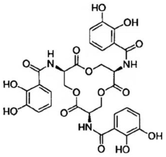 Microbiolres 14 00099 g001