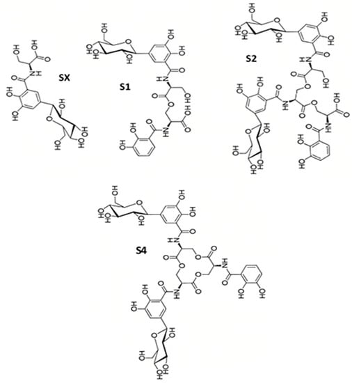 Microbiolres 14 00099 g003