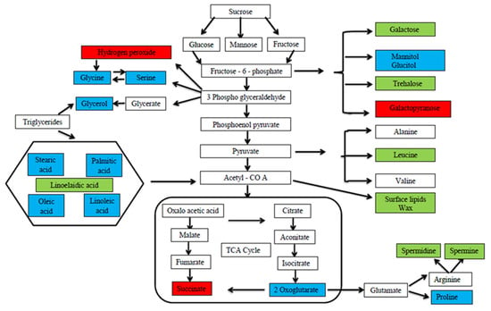 Agronomy 13 02405 g002