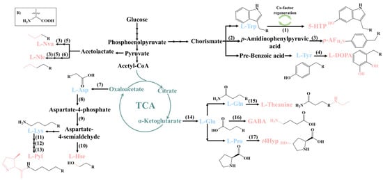 Molecules 28 06745 g001