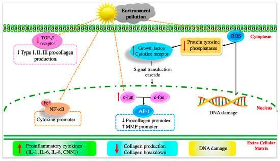 Nanomaterials 13 02654 g003