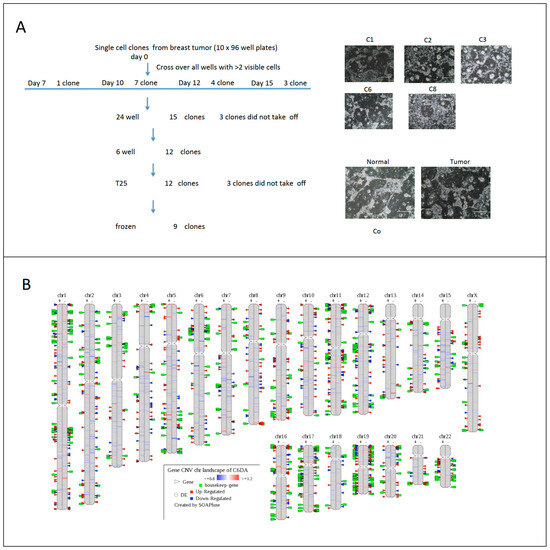 Cells 12 02388 g004a