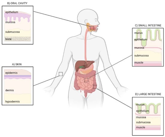 Microorganisms 11 02386 g001