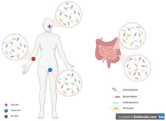 Microorganisms 11 02386 g003