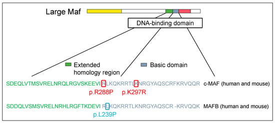 Genes 14 01883 g002