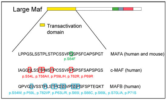 Genes 14 01883 g003