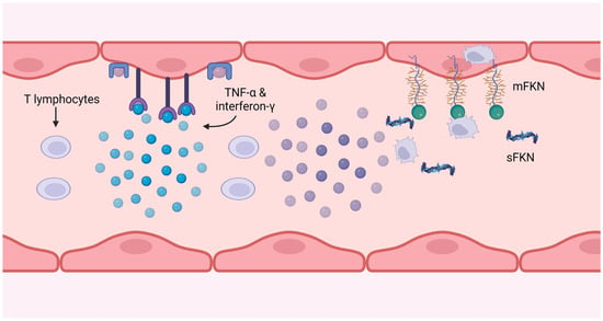 Cells 12 02377 g004