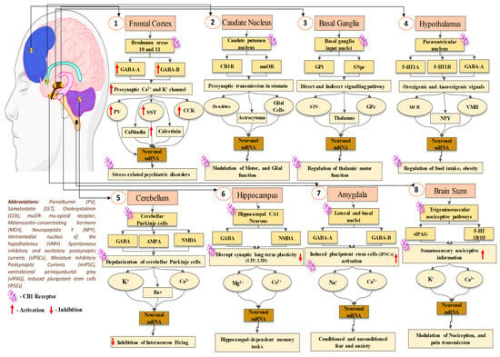 Biomedicines 11 02642 g001