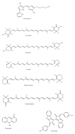 Microorganisms 09 00011 g001b 550