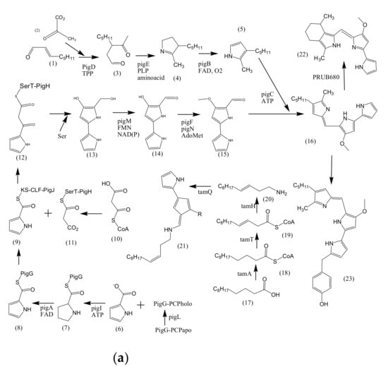 Microorganisms 09 00011 g002a 550