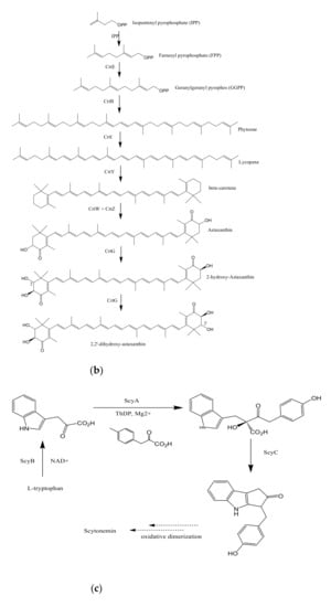 Microorganisms 09 00011 g002b 550