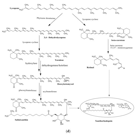 Microorganisms 09 00011 g002c 550