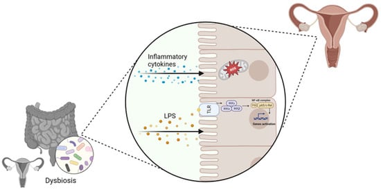 Microorganisms 11 02407 g001