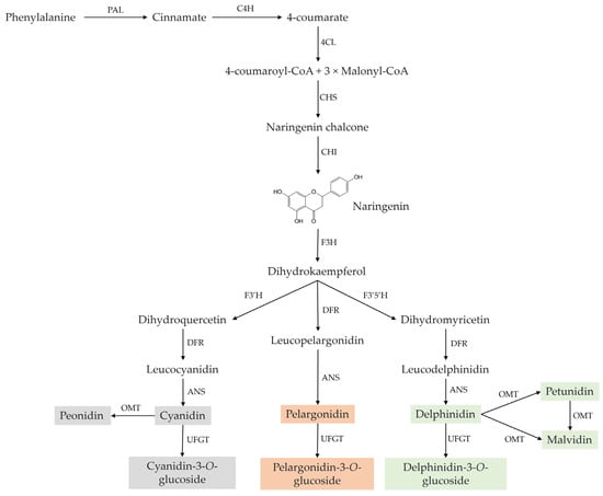 Nutrients 15 04152 g001