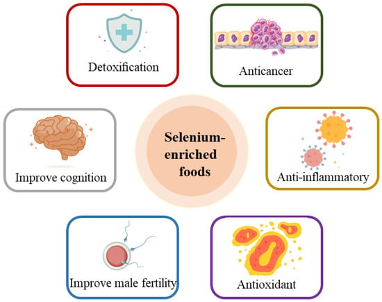 Nutrients 15 04189 g003