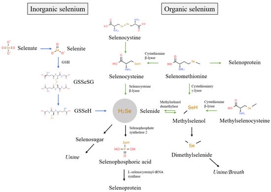 Nutrients 15 04189 g001