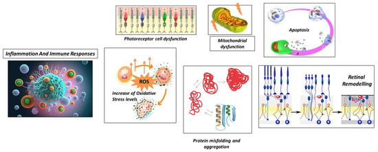 Biomedicines 11 02656 g002