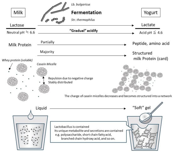 Nutrients 15 04366 g001