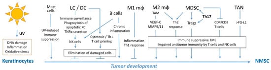 Cells 12 02441 g001