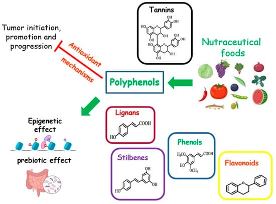 Antioxidants 12 01845 g004