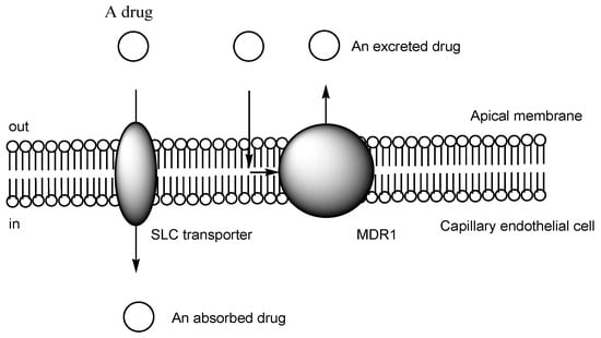 Futurepharmacol 03 00046 g001