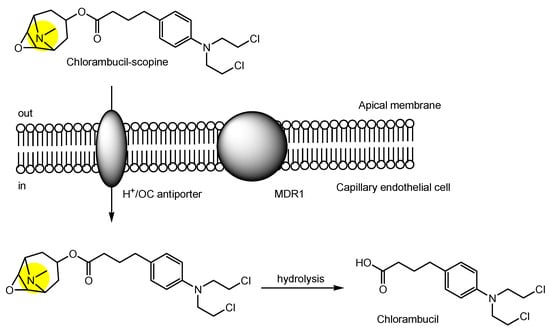 Futurepharmacol 03 00046 g010