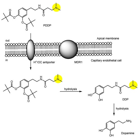 Futurepharmacol 03 00046 g011