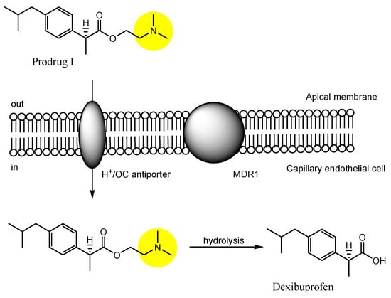 Futurepharmacol 03 00046 g013