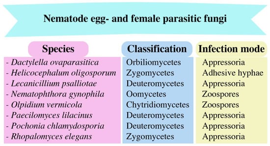 Agronomy 13 02685 g004