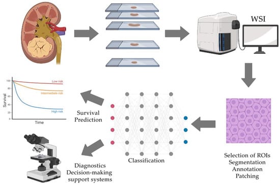 Biomedicines 11 02875 g001