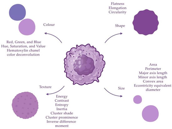 Biomedicines 11 02875 g002