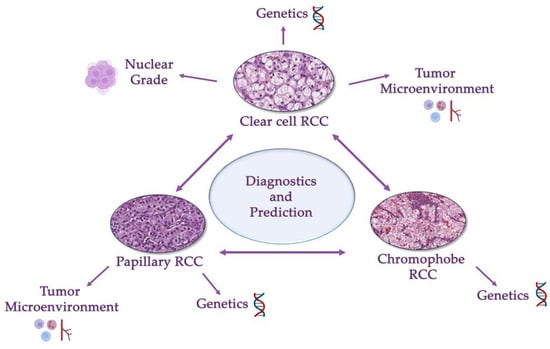 Biomedicines 11 02875 g003