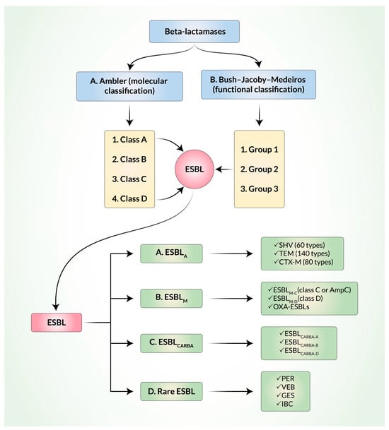 Biomedicines 11 02937 g001