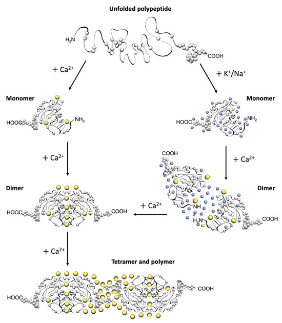 Biomolecules 13 01693 g002