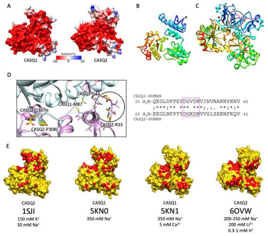 Biomolecules 13 01693 g003