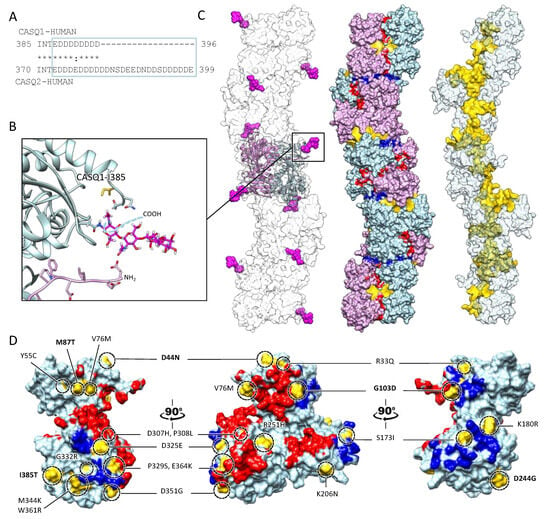 Biomolecules 13 01693 g004