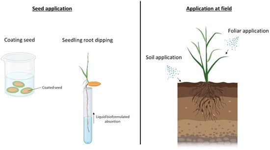 Horticulturae 09 01306 g003