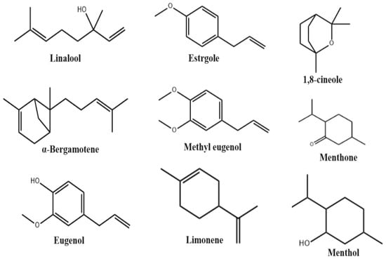 Molecules 29 00388 g003