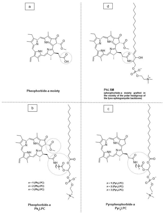 Molecules 29 00636 g008