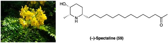 Molecules 29 00815 g033