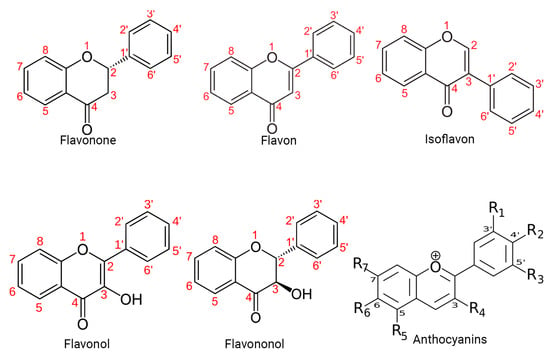 Molecules 29 01000 g001