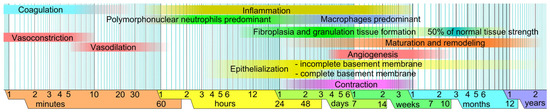 Biomedicines 14 00926 g001