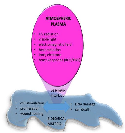 Molecules 26 01903 g006 550