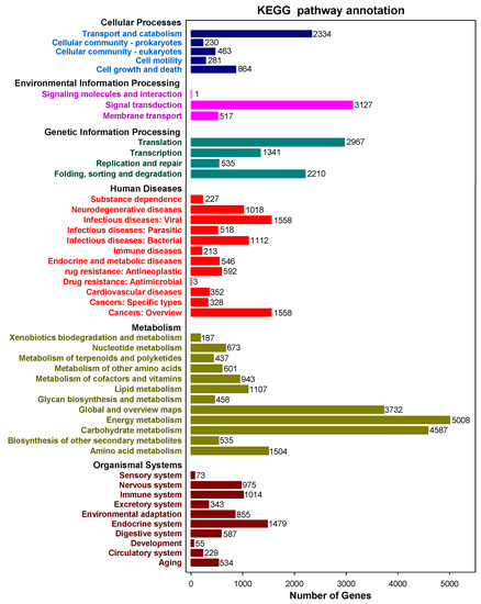 Plants 10 00655 g004 550