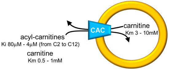 Biomolecules 11 00521 g002 550