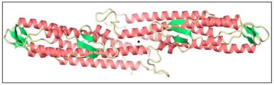 BipD of Burkholderia pseudomallei | Encyclopedia MDPI