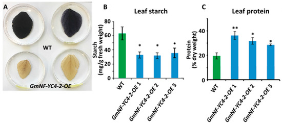 Ijms 22 03586 g002 550